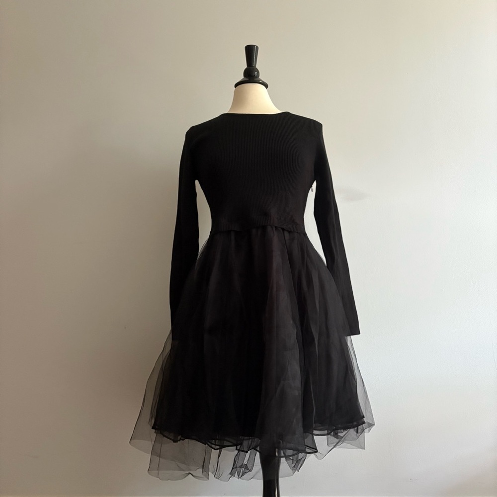 Esley Black Long Sleeve Tulle Dress